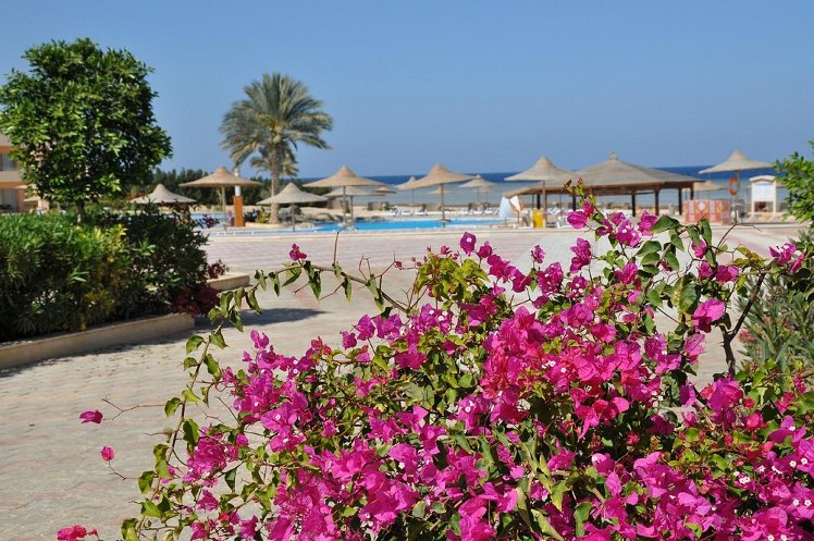 Paradise Club Shoni Bay, Red Sea Riviera