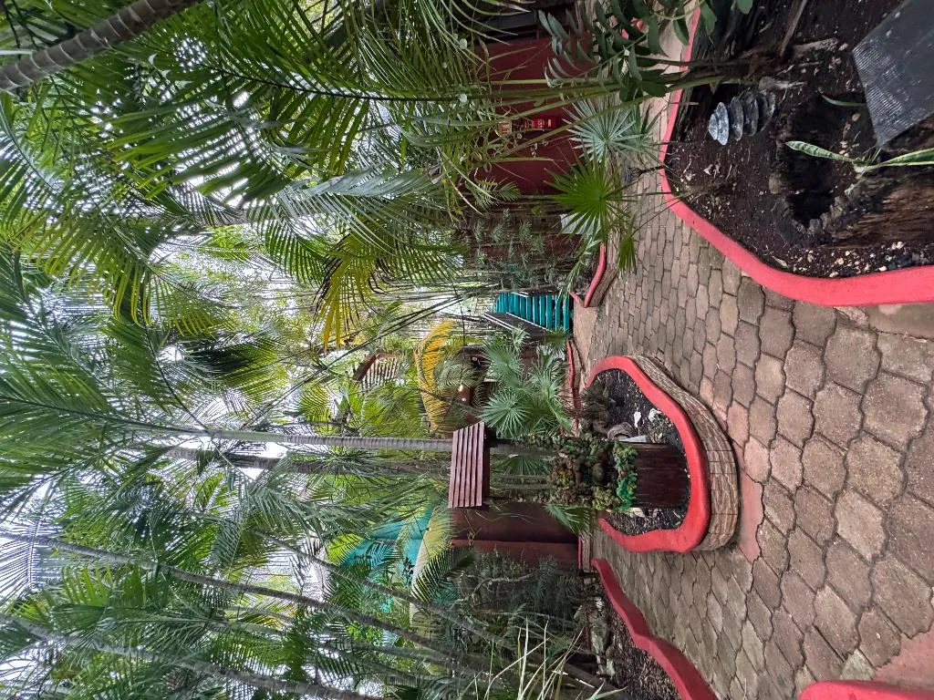 General view, Cocos Cabañas, Cancun Area