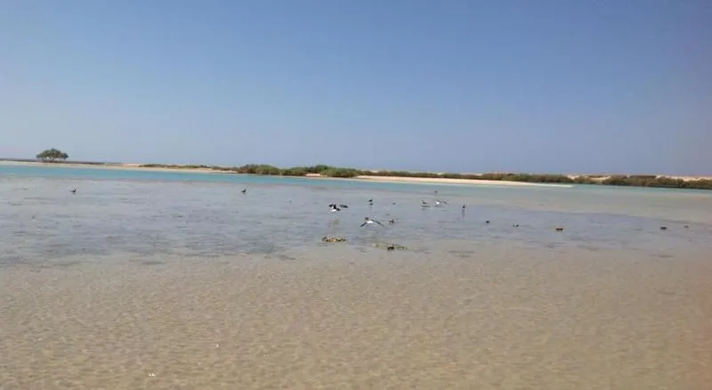 Beach, Wadi Lahmy Azur Resort, Red Sea Riviera