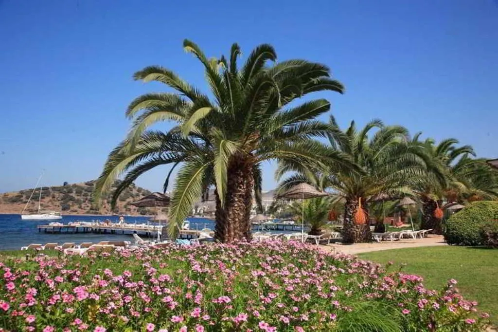 Lobby, Princess Artemisia Hotel, Bodrum
