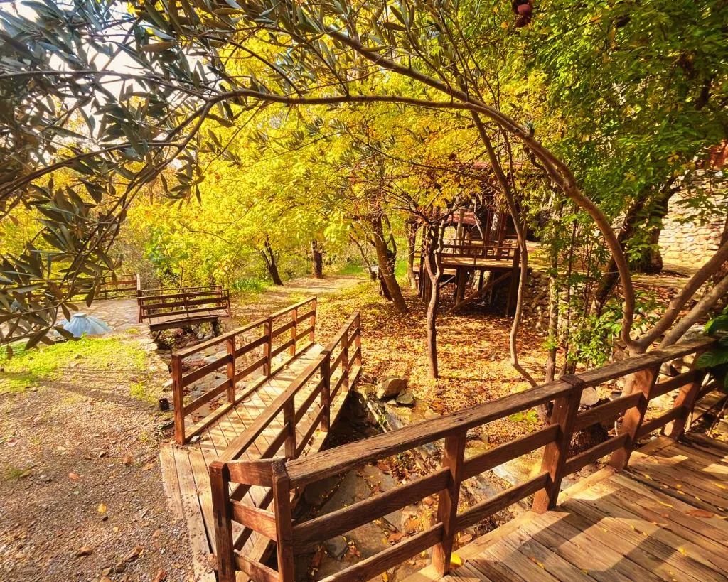 General view, Kybele Nature Life, Izmir