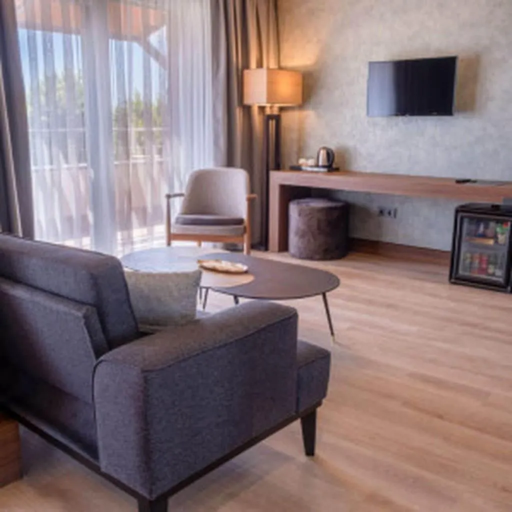 Room, Allia Thermal Health Spa Kazdaglara, Izmir