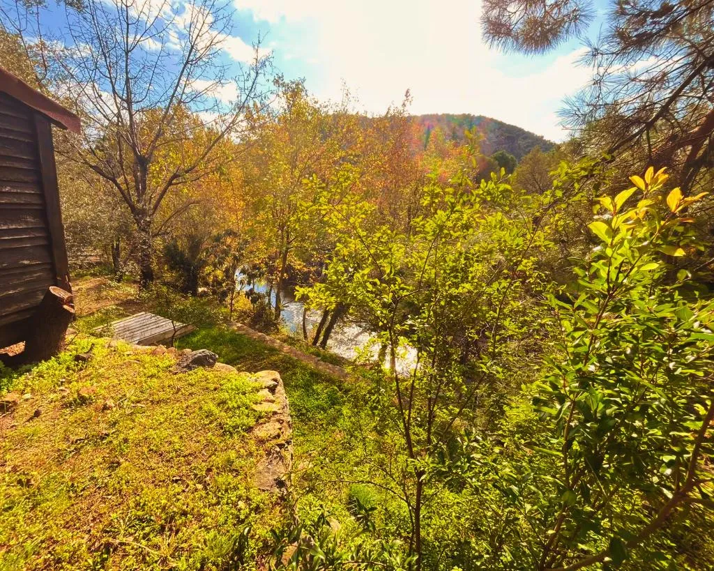 General view, Kybele Nature Life, Izmir