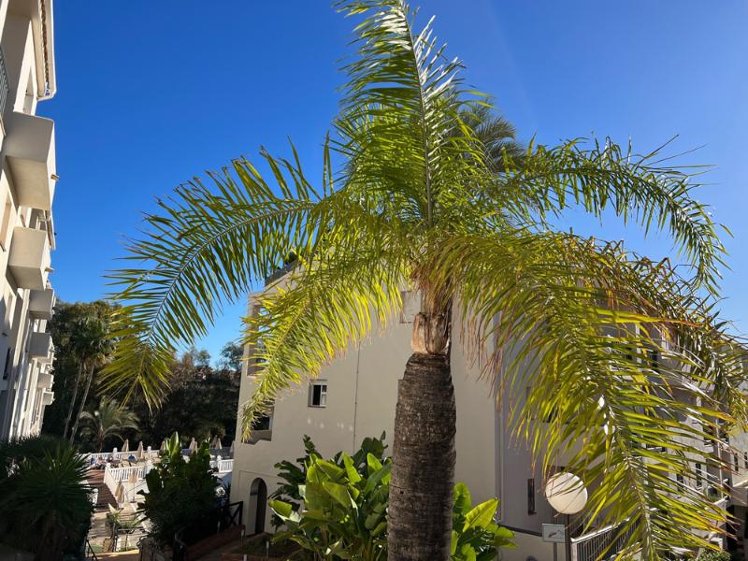 Image, Crown Resorts Club Marbella, Costa Del Sol