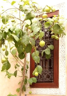 Exterior, Dar Rania, Marrakech