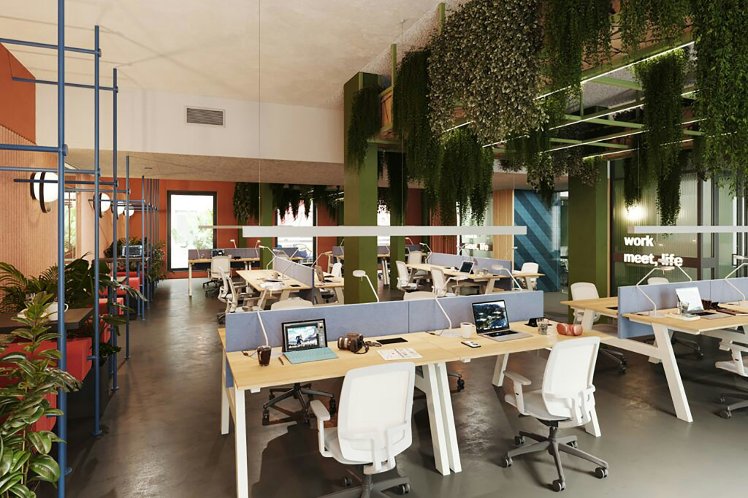 The Social Hub Florence Belfiore, Florence