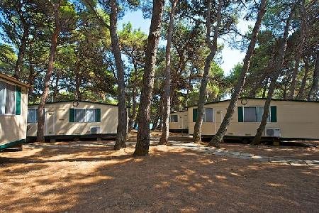 Arena Stupice Campsite, Istria