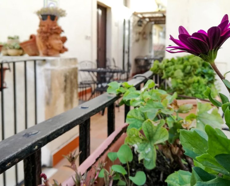 Piccolo Hotel Casa Mia, Catania