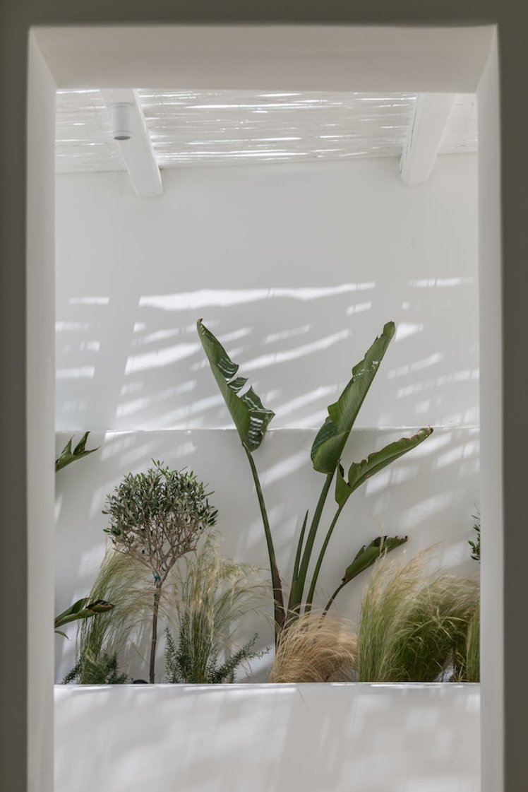 Arocaria, Mykonos