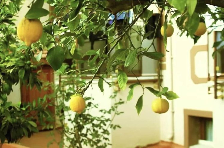Boncuklu Otel, Dalaman