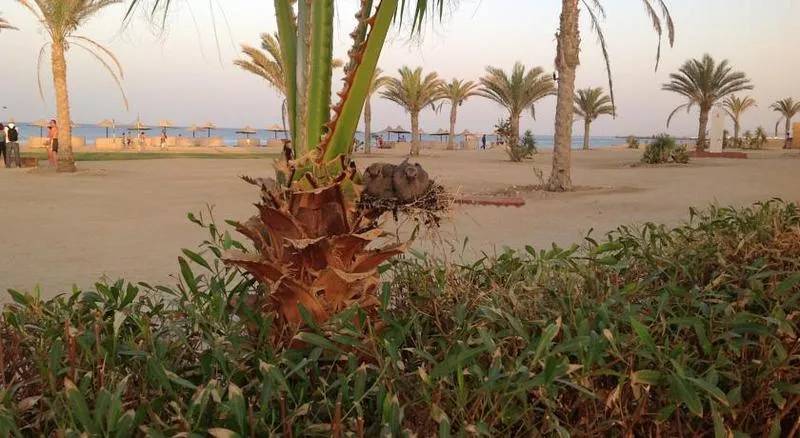 General view, Wadi Lahmy Azur Resort, Red Sea Riviera
