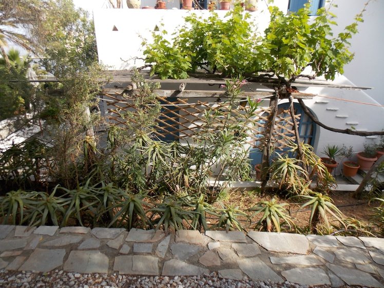 Rania Apartments, Mykonos