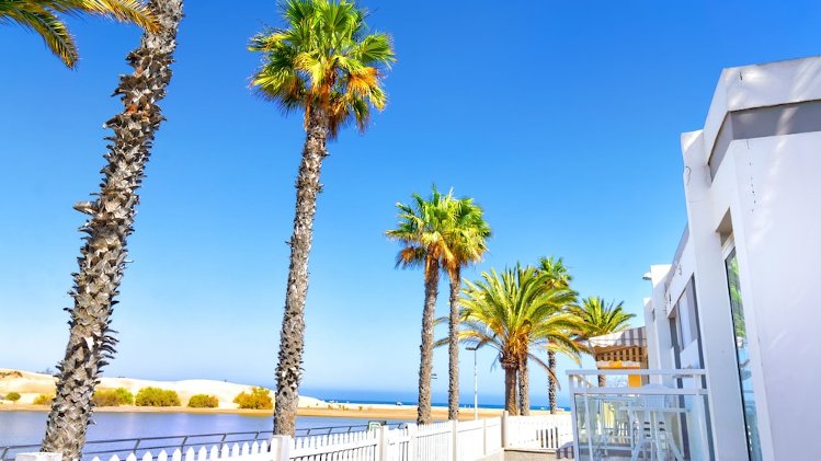Apartamentos Cocoteros, Gran Canaria