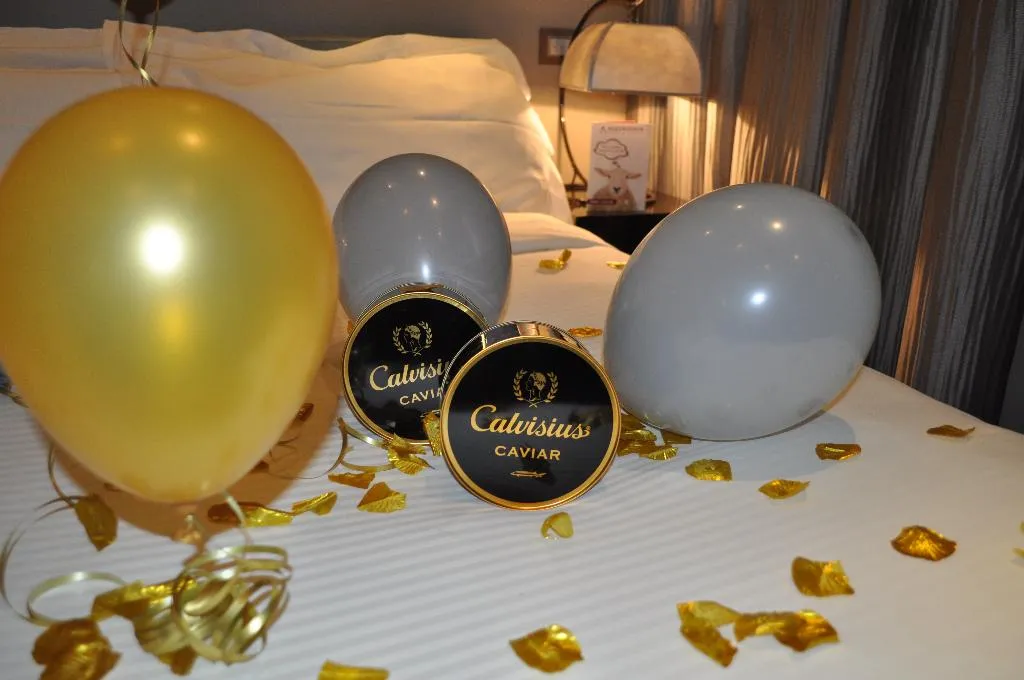 SUITE STANDARD Room, Allegroitalia San Pietro all'Orto, Milan