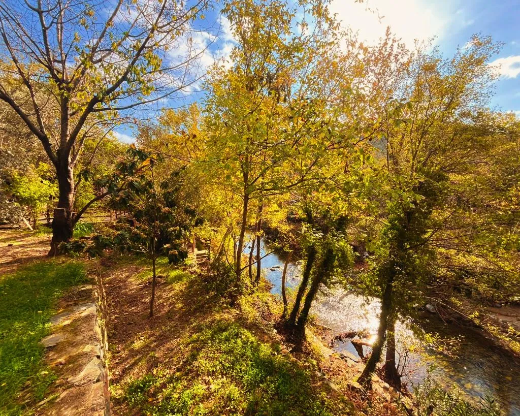General view, Kybele Nature Life, Izmir