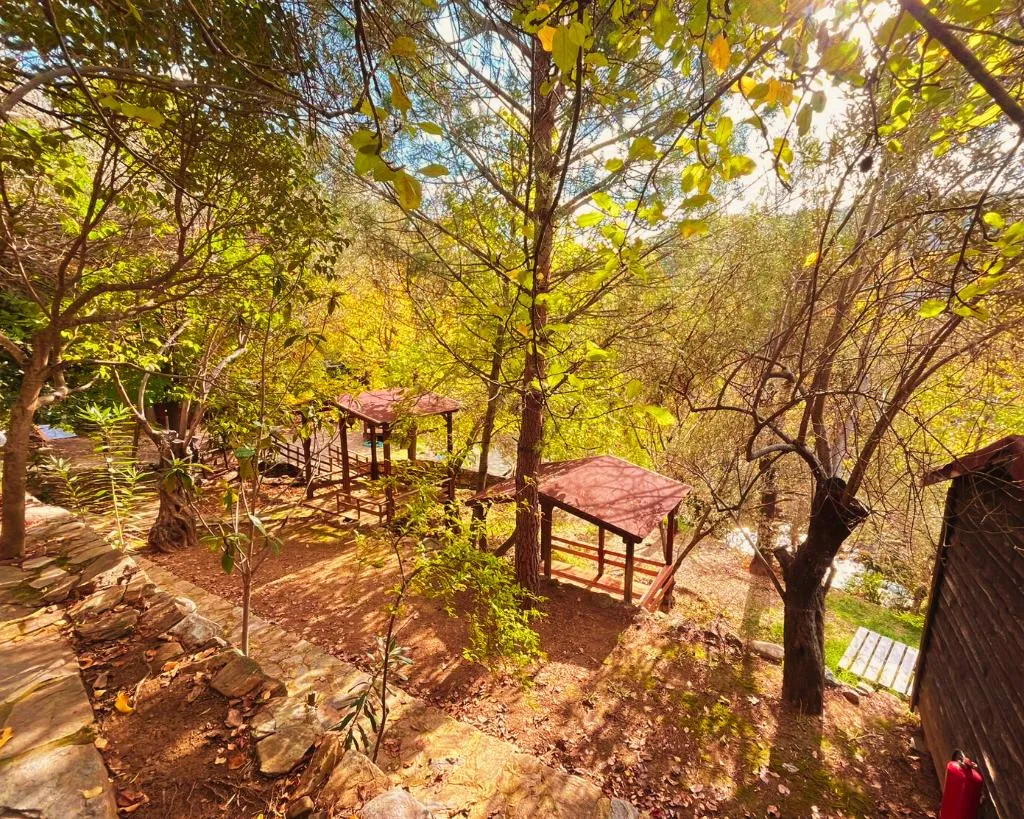 General view, Kybele Nature Life, Izmir