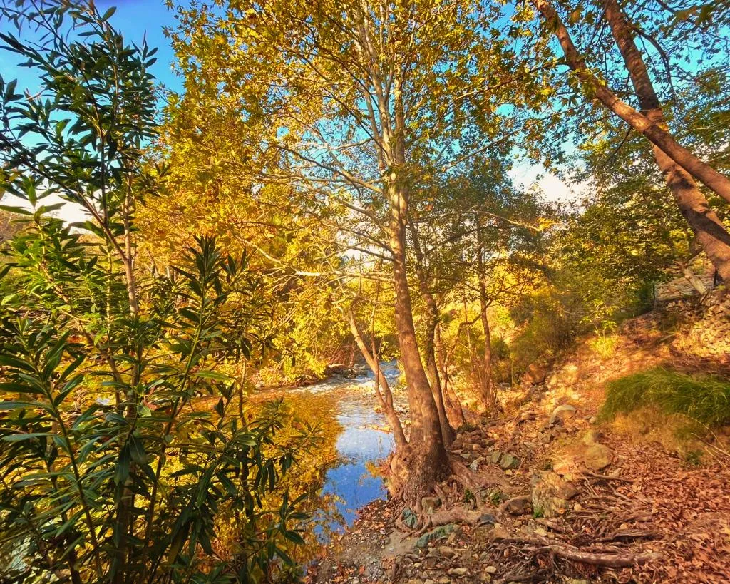 General view, Kybele Nature Life, Izmir