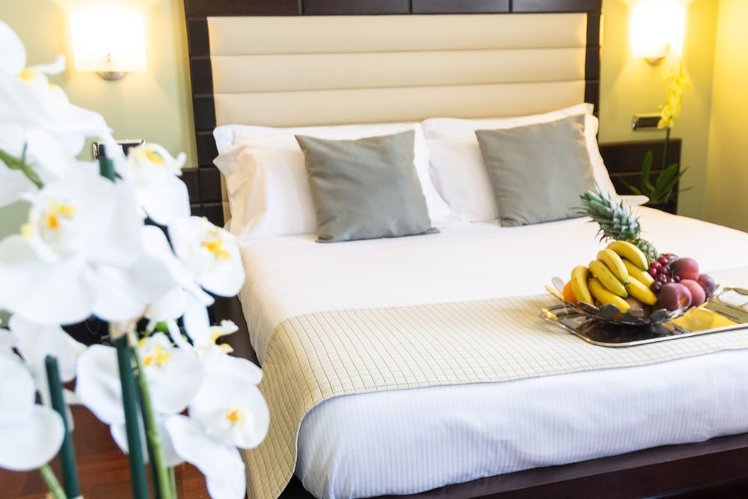 Hotel Silver ****L, Milan