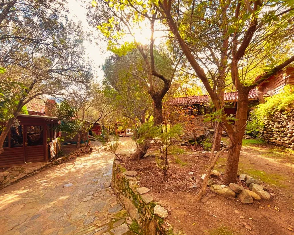 General view, Kybele Nature Life, Izmir