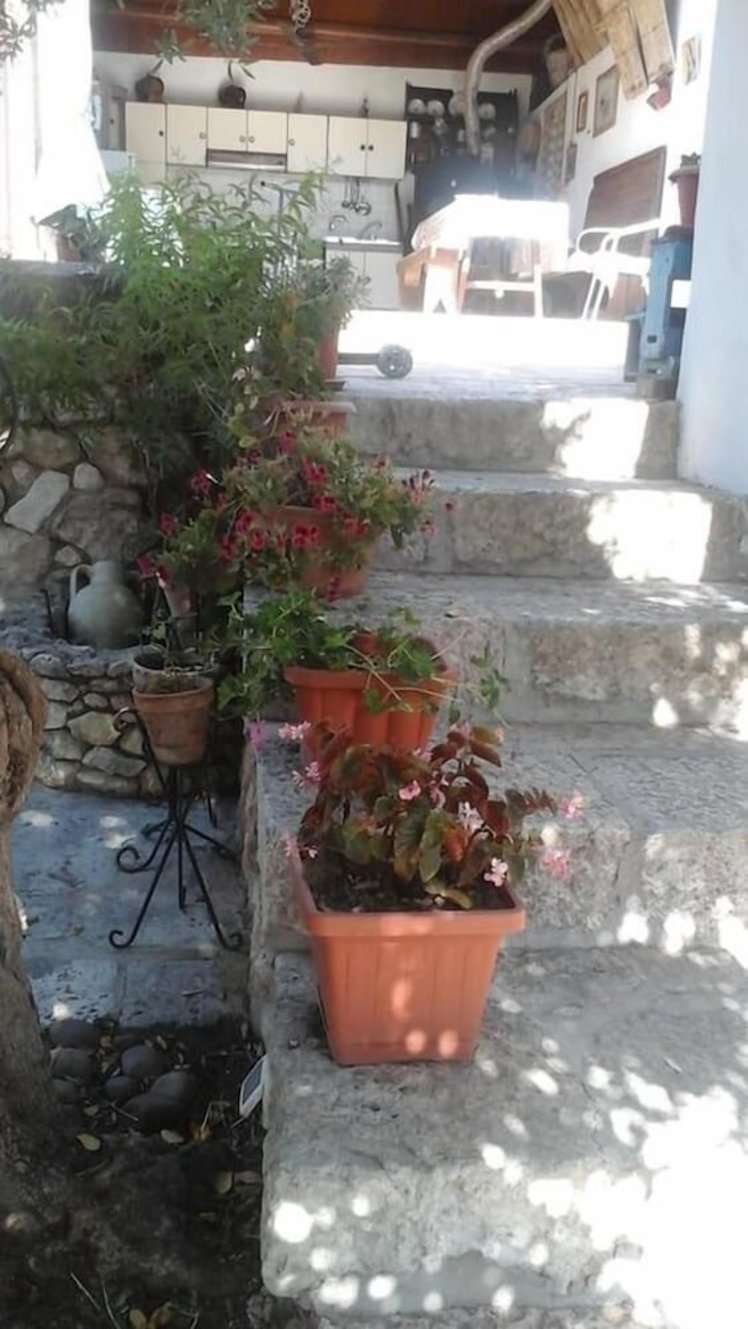 B&B La Ginestra, Palermo