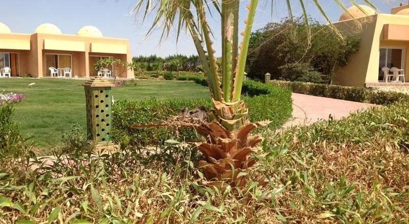 General view, Wadi Lahmy Azur Resort, Red Sea Riviera