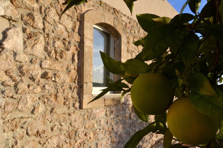 Scilla Maris Charming Suites-Restaurant, Catania