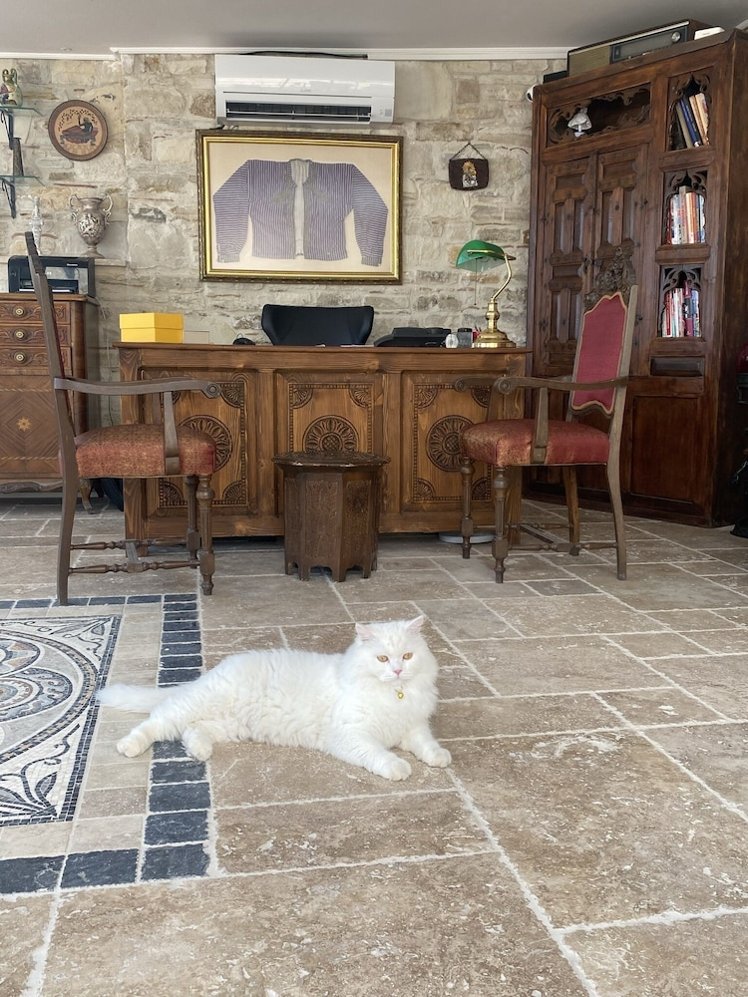 Villa Ephesus, Izmir