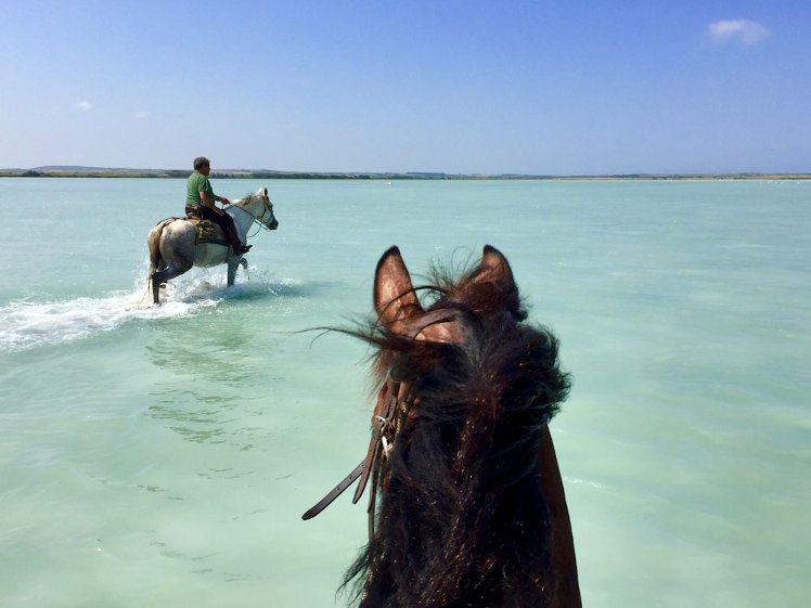 Horse Country Resort Congress & Spa - Hotel Ribot, Cagliari