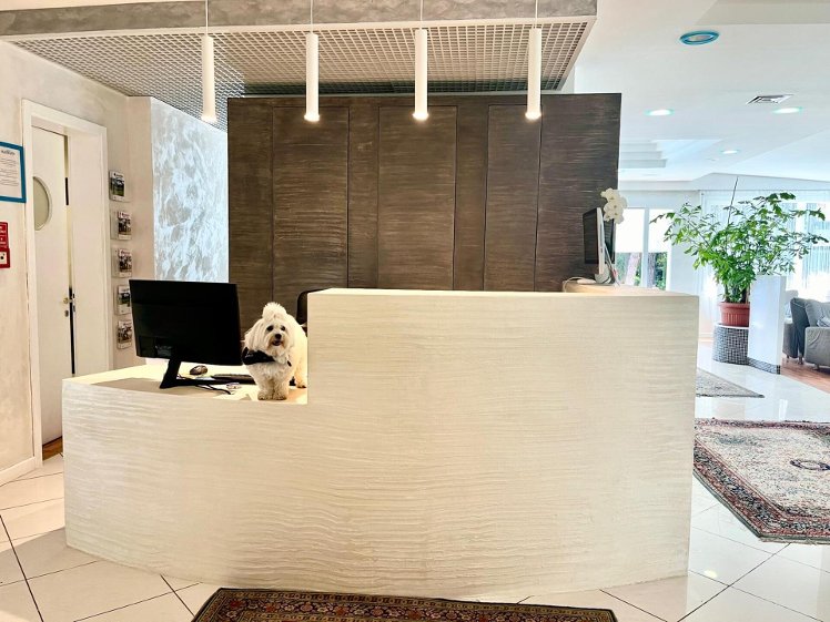 Hotel Alemagna, Venice