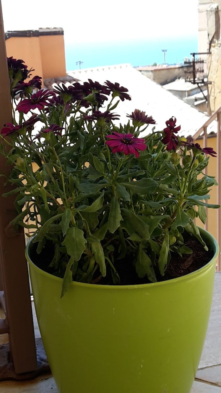 Sogni d'oro B&B Agrigento, Catania