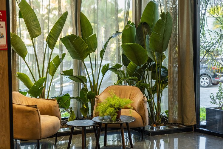 Henry Resort & Spa, Kavaje