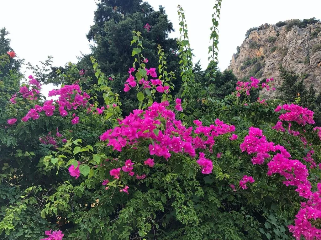 General view, Ipek Butik Otel, Antalya