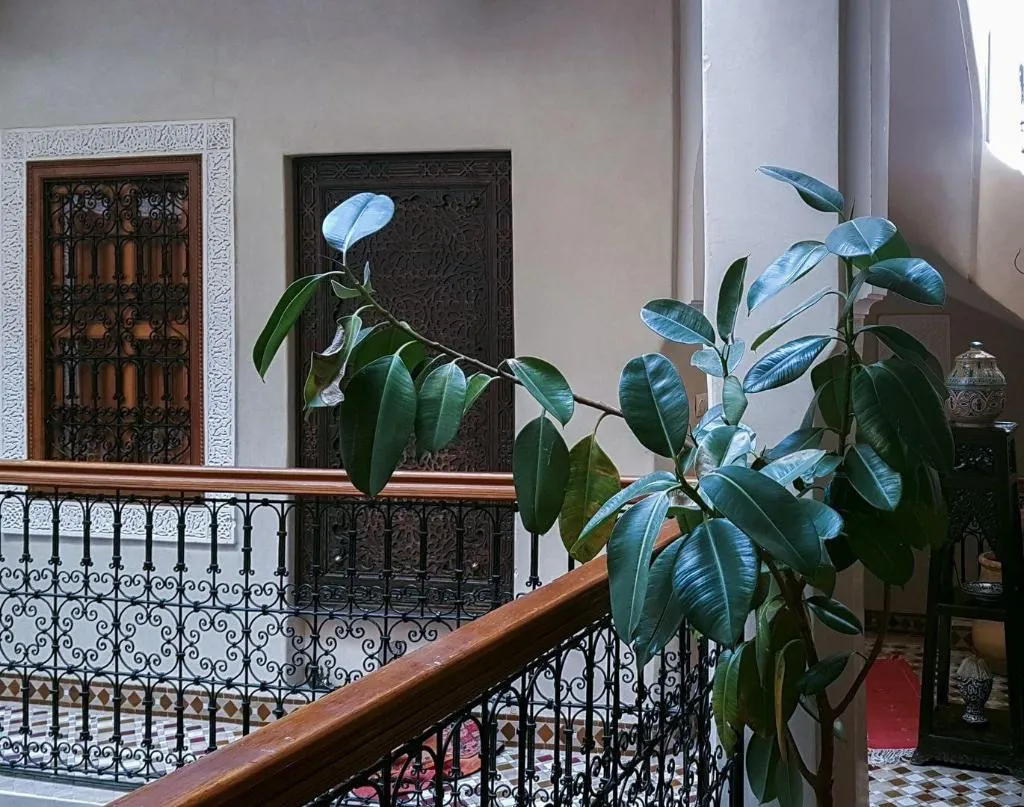 Room, Riad Gallery 49, Marrakech