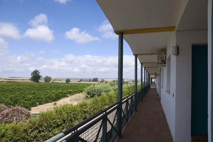 Hospedium Hotel Blu Torre De Sevilla, Seville