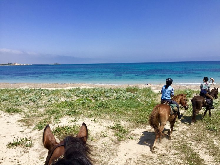 Horse Country Resort Congress & Spa - Hotel Ribot, Cagliari
