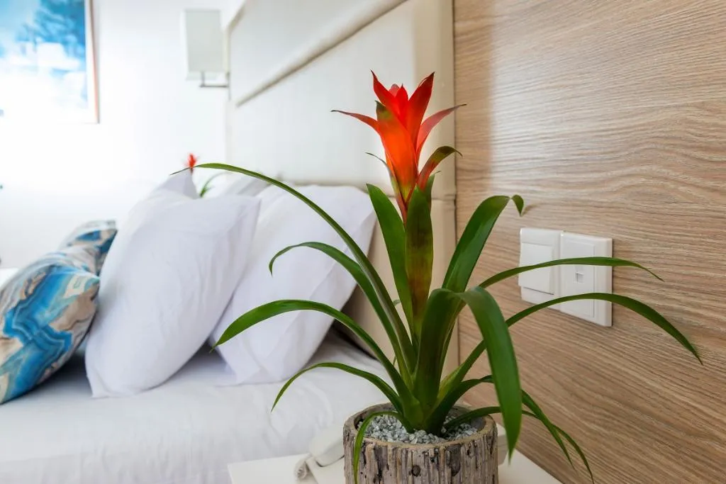 Room, Ascos Coral Beach, Cyprus