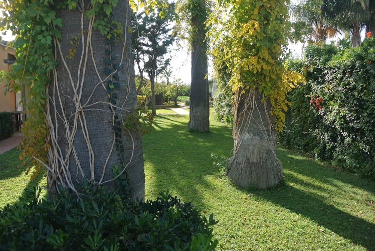 B&B Villa Carlotta Resort, Catania