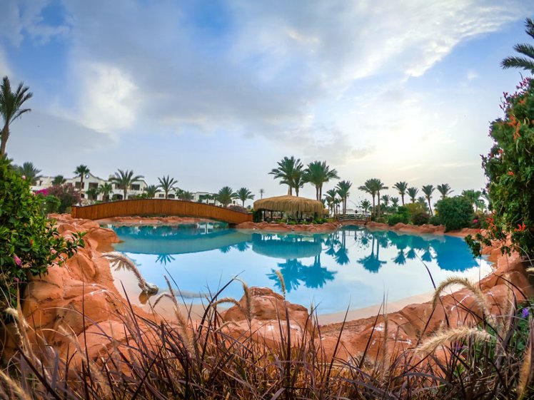 Royal Regency Club, Red Sea Riviera