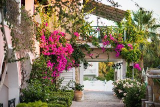 Exterior, Sofias, Zante