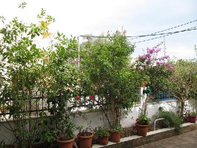 Marianna Studios, Crete