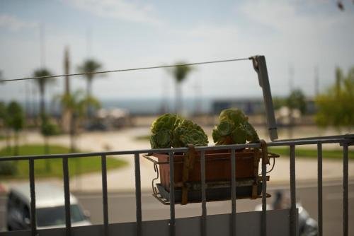 B&B Favola Mediterranea, Catania
