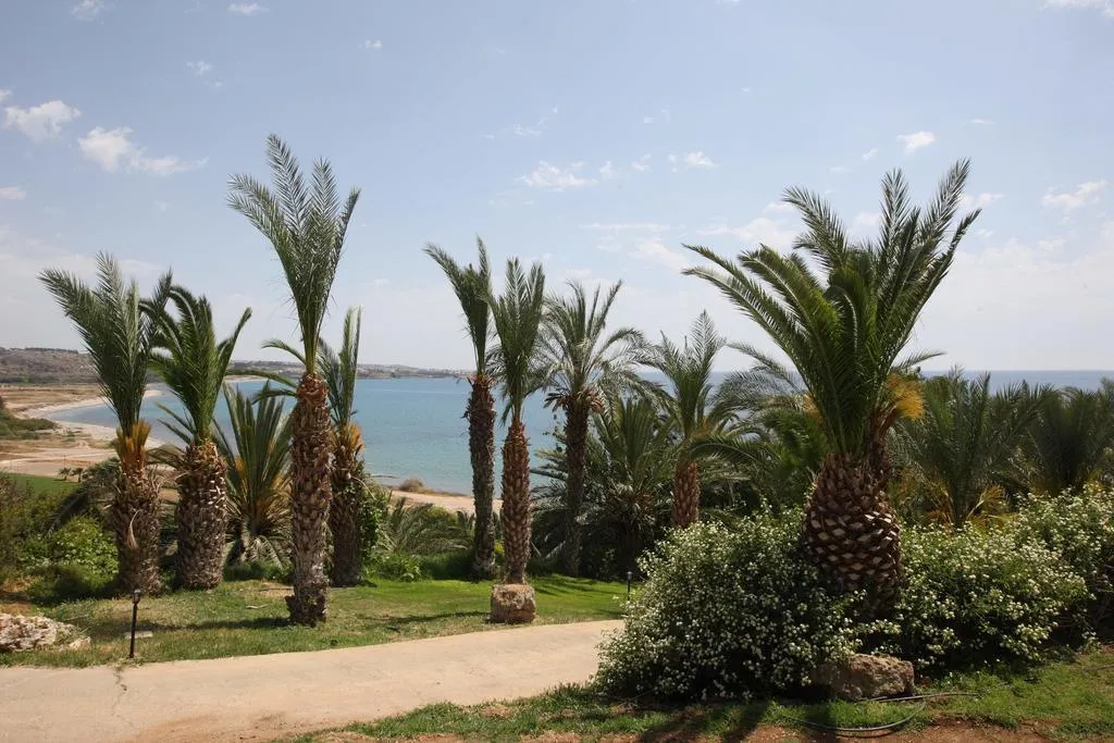 Beach, Ascos Coral Beach, Cyprus