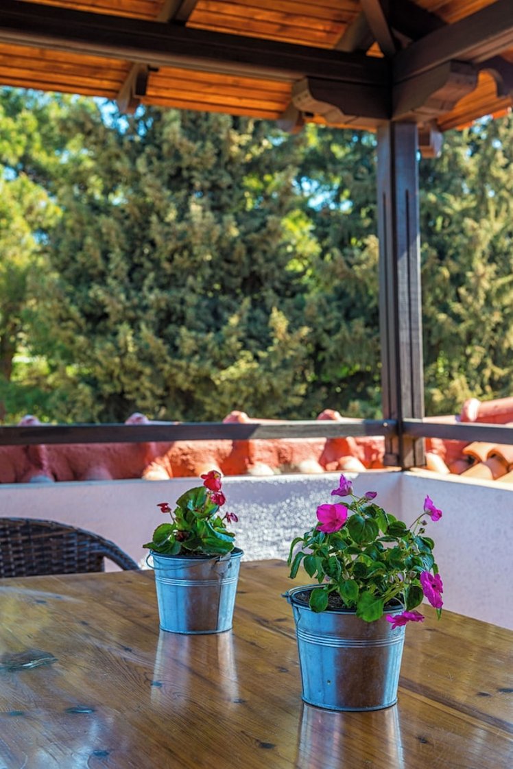 Georgalas Sun Beach Hotel, Halkidiki