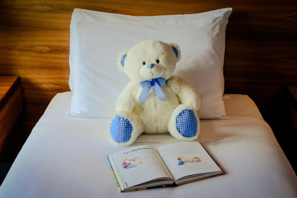 Room, Osprey Hotel, Dublin