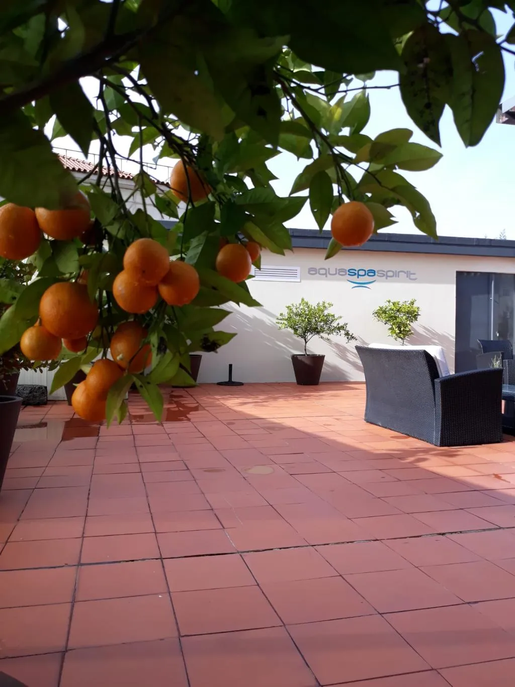 Terrace, Aqua Hotel Ovar, Porto