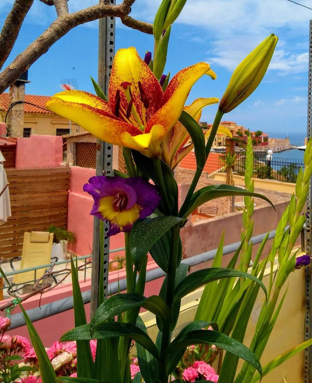 Terrace, Palazzo di Pietro, Crete