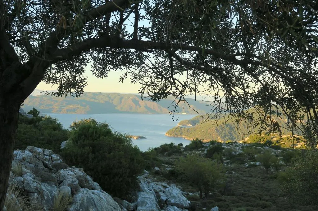 Sports and Entertainment, Swan Lake Boutique Hotel - Adults Only, Dalaman