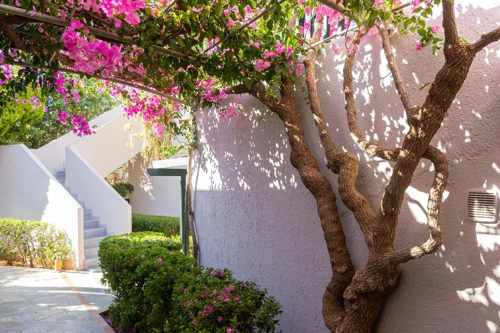 General view, Anna Maria Village, Crete