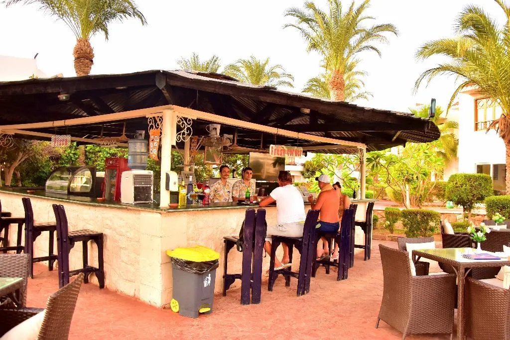 Bar, Dive Inn Resort, Red Sea Riviera