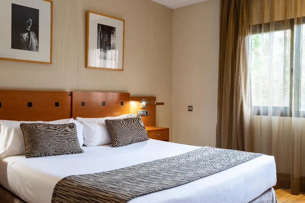 Double or Twin STANDARD Room, Petit Palace Arturo Soria, Madrid